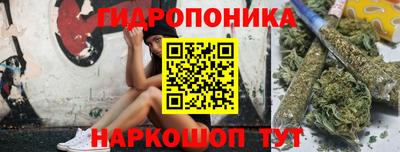 индика Бердск