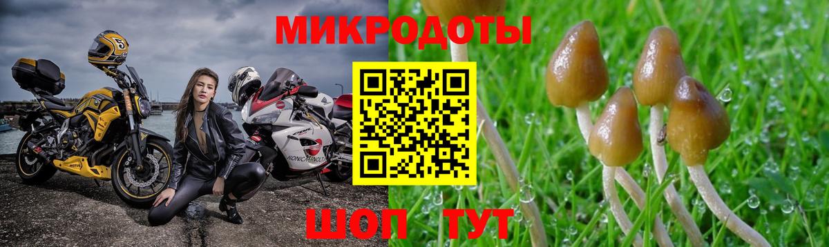 Псилоцибиновые грибы прущие грибы  Вход с VPN  Зеленодольск 